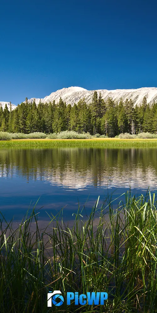 Lake Scenery 3K Mobile Wallpaper
