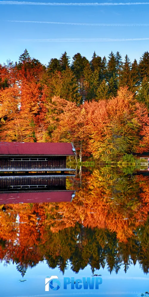 Autumn trees Mirror Lake 3K Mobile Wallpaper