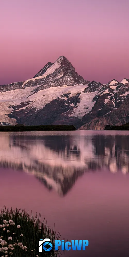 Bachalpsee Lake Switzerland 3K Mobile Wallpaper