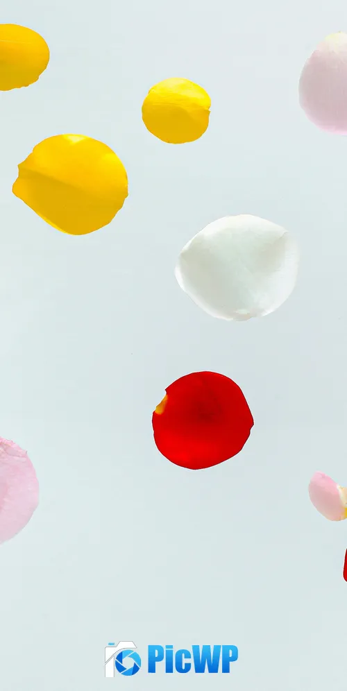 Colorful Petals Multicolor 3K Mobile Wallpaper