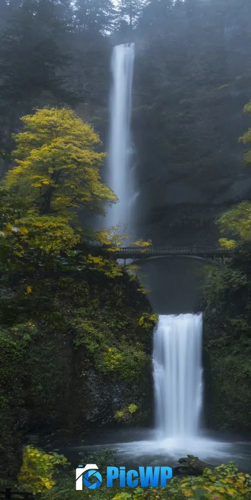 Multnomah Falls Oregon 3K Mobile Wallpaper