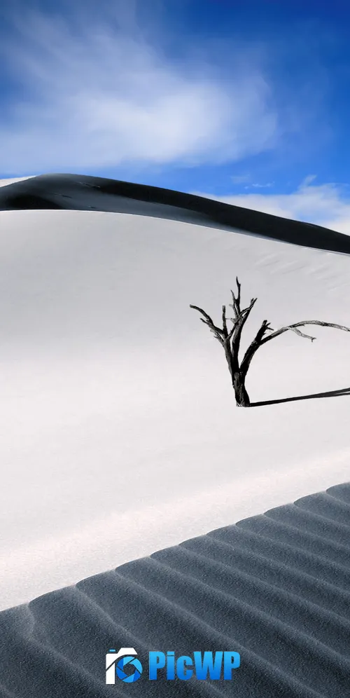 Sand Dunes Lone tree 3K Mobile Wallpaper