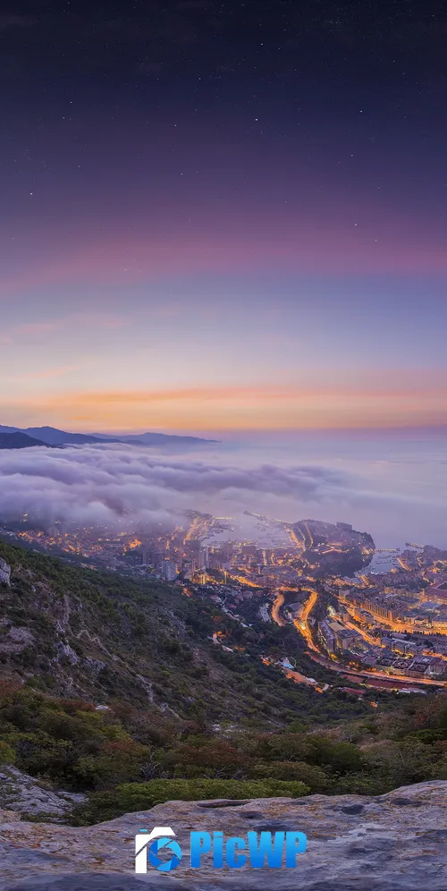 Monaco City Aerial view 3K Mobile Wallpaper