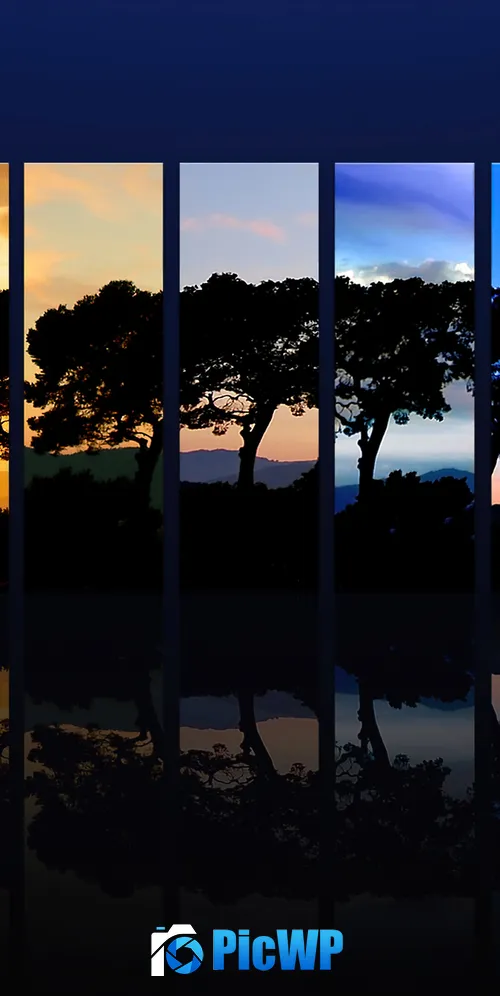 Tree Sunset 3K Mobile Wallpaper