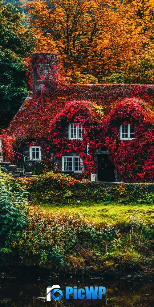 House Covered by Trees Autumn trees 3K Mobile Wallpaper