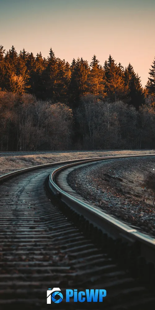 Railway track Trees 3K Mobile Wallpaper