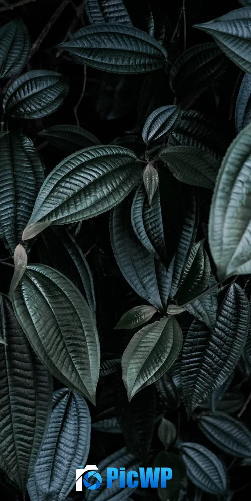 Leaf Background Green leaves 3K Mobile Wallpaper