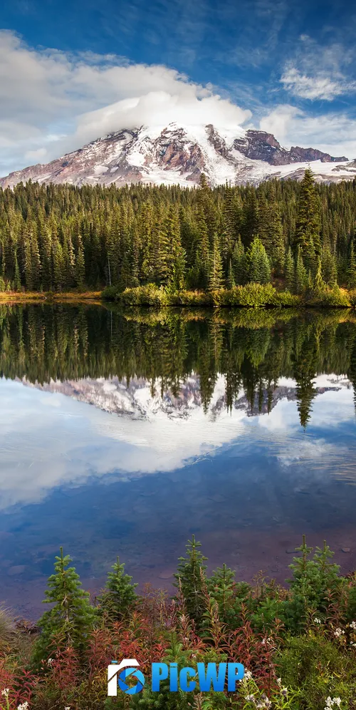 Mirror Lake Green Trees 3K Mobile Wallpaper