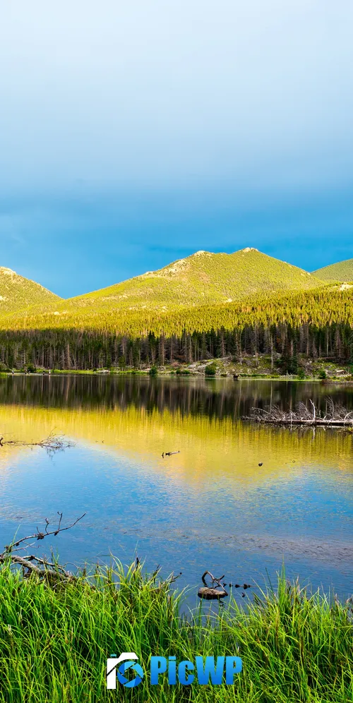 Sprague Lake Rocky Mountain National Park 3K Mobile Wallpaper