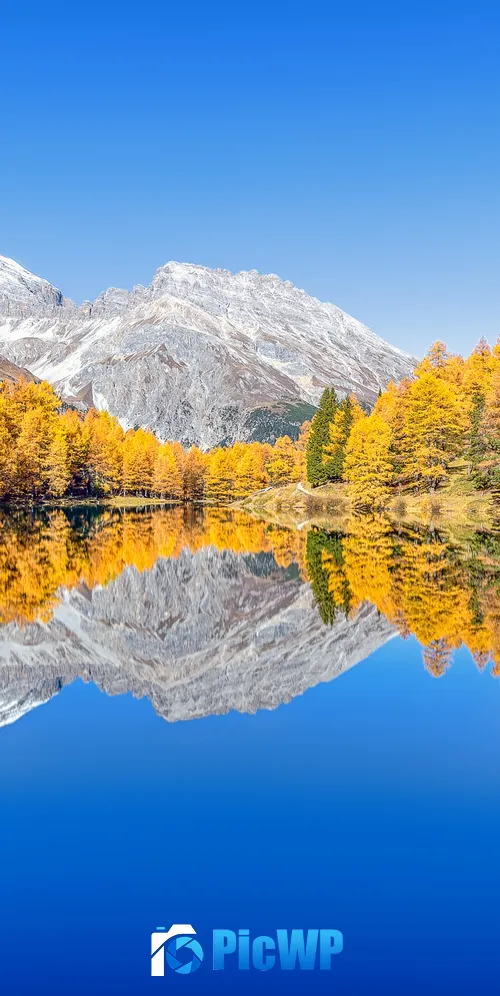 Lai da Palpuogna Autumn trees 3K Mobile Wallpaper