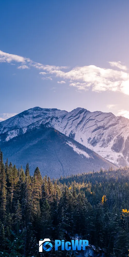 Snow mountains Pine trees 3K Mobile Wallpaper