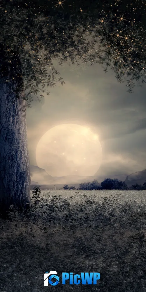 Full moon Night view 3K Mobile Wallpaper
