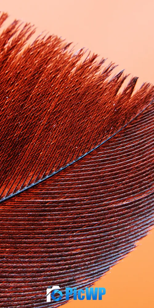 Red Feather Bird 3K Mobile Wallpaper