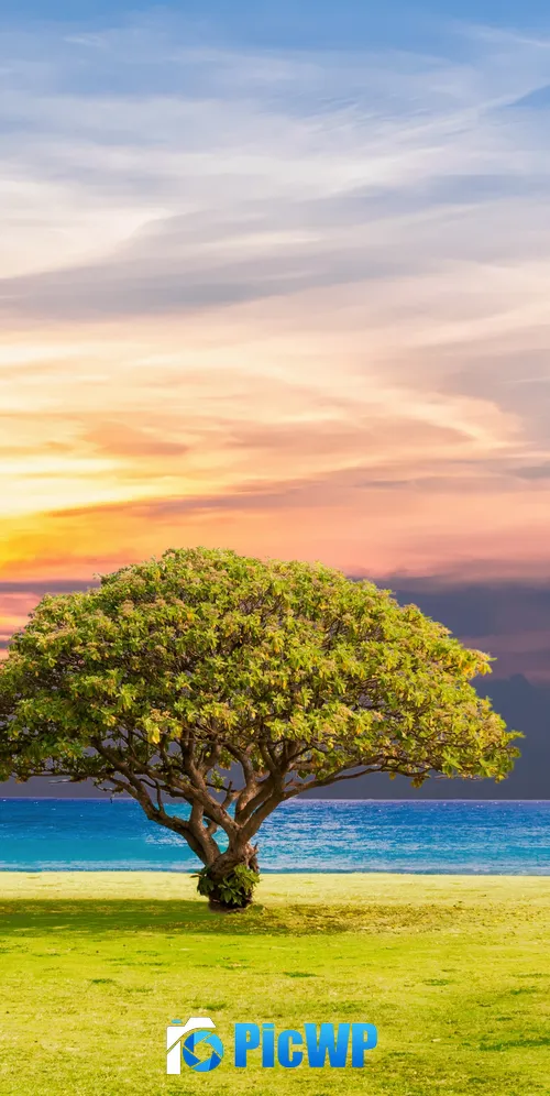 Green Tree Ocean view 3K Mobile Wallpaper