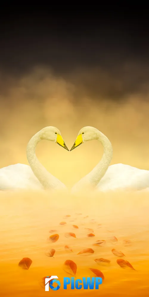 White Swan Love Birds 3K Mobile Wallpaper