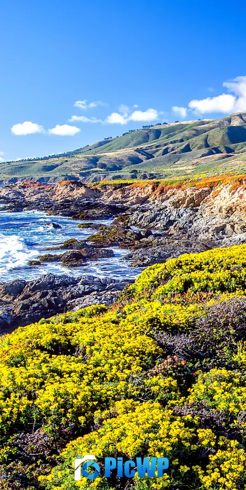 Big Sur Coastline 3K Mobile Wallpaper
