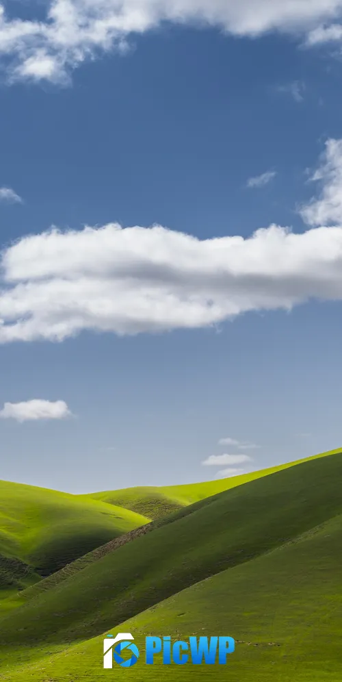 Landscape Scenery 3K Mobile Wallpaper