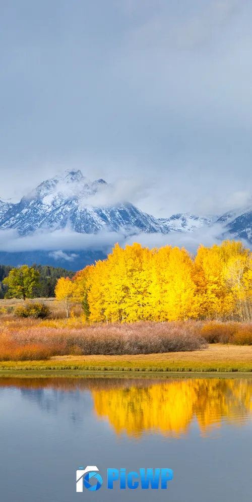 Grand Teton National Park Autumn 3K Mobile Wallpaper