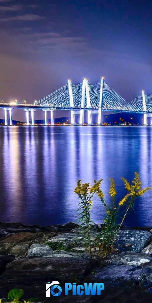 Cable-stayed bridge Body of Water 3K Mobile Wallpaper