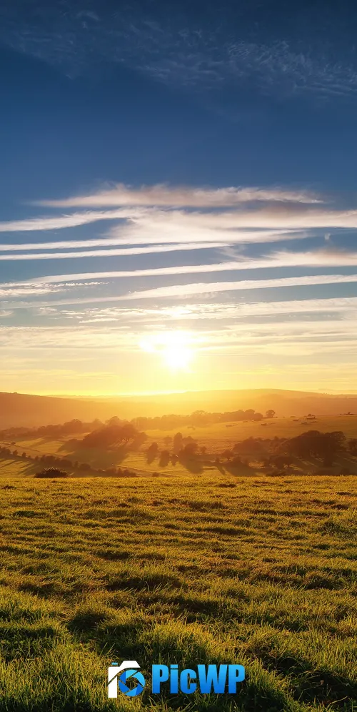 Green Meadow Landscape 3K Mobile Wallpaper