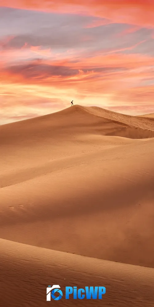 Desert Evening 3K Mobile Wallpaper