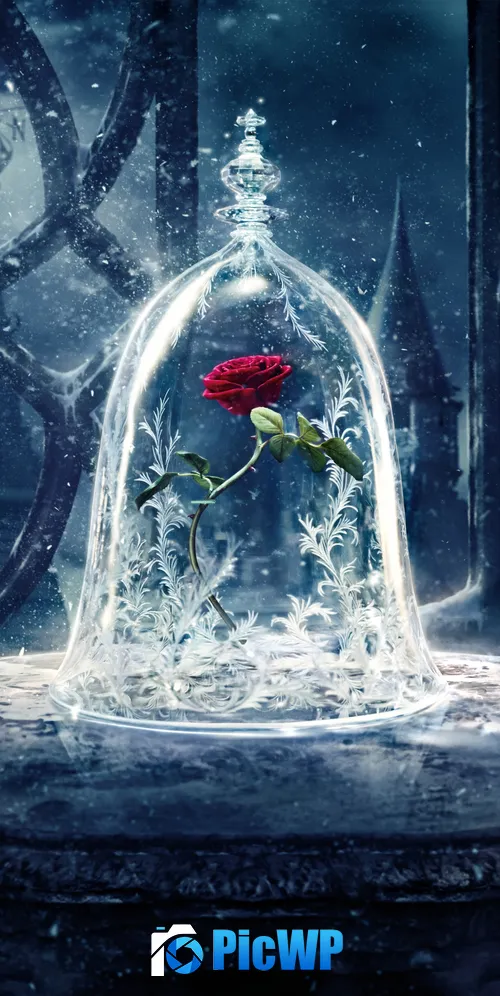 Rose Beauty and the Beast 3K Mobile Wallpaper