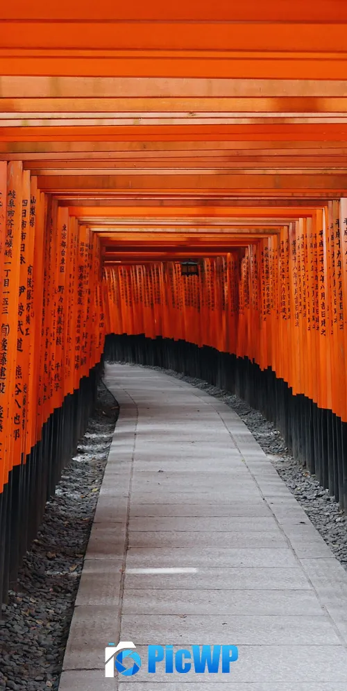 Fushimi Inari Taisha Shrine 3K Mobile Wallpaper