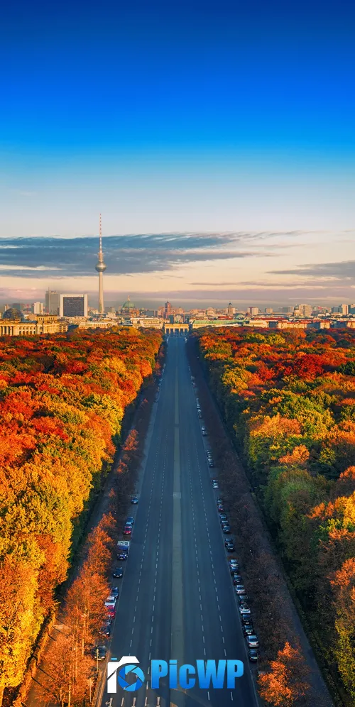 Autumn trees Berlin City Skyline 3K Mobile Wallpaper