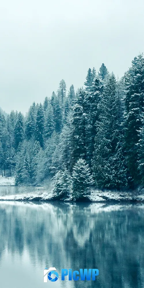 Kootenay River Snowfall 3K Mobile Wallpaper