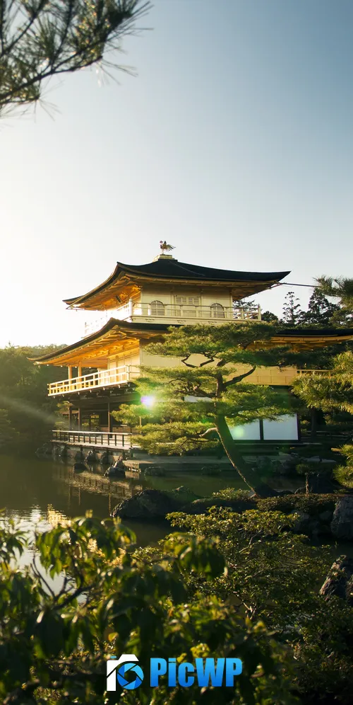 Kinkakuji Temple Rokuon-ji 3K Mobile Wallpaper