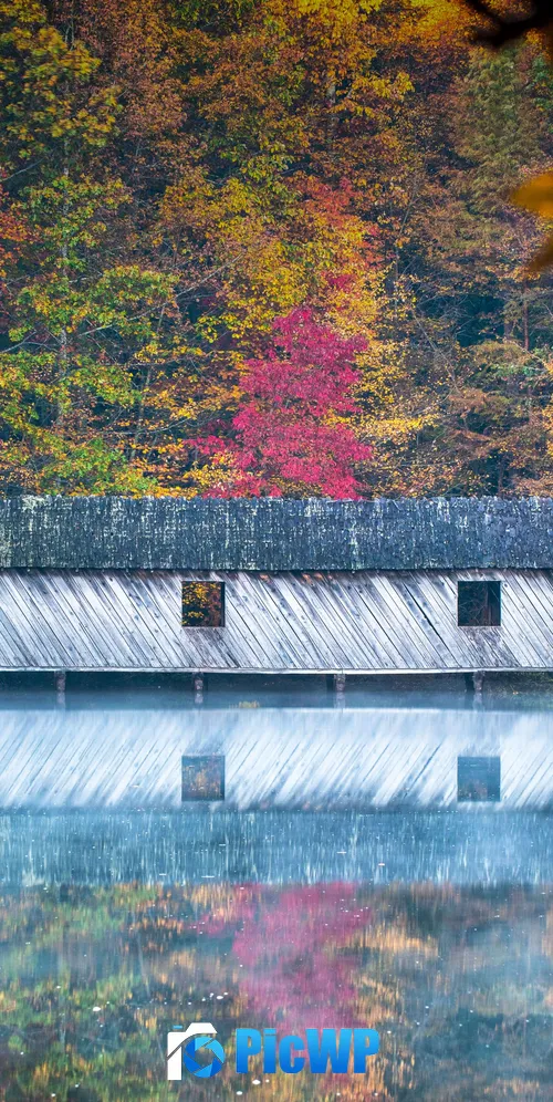 Cambron Covered Bridge Huntsville 3K Mobile Wallpaper