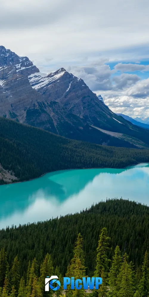 Peyto Lake Canada 3K Mobile Wallpaper