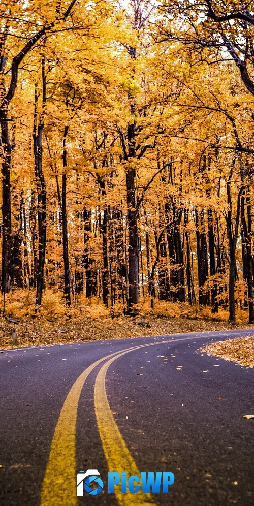 Shenandoah National Park Virginia 3K Mobile Wallpaper