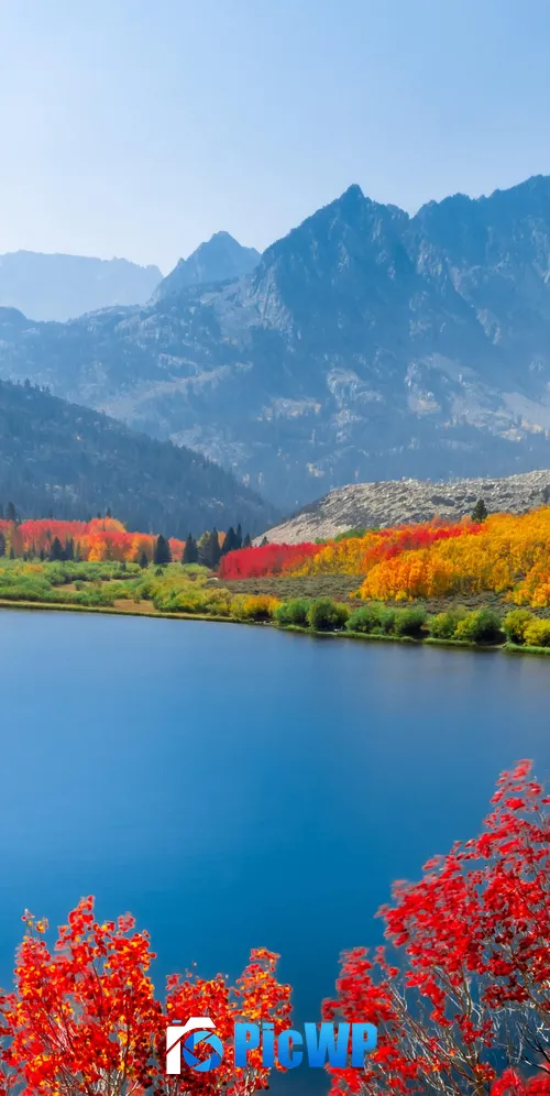 Autumn trees Lake 3K Mobile Wallpaper