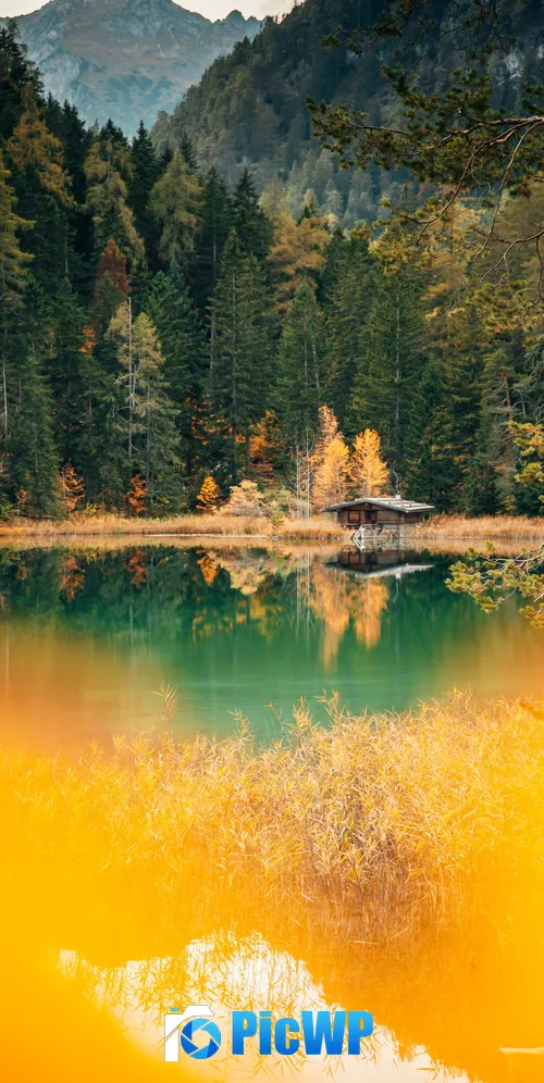 Lake house Forest 3K Mobile Wallpaper