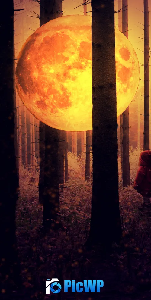 Full moon Kid 3K Mobile Wallpaper