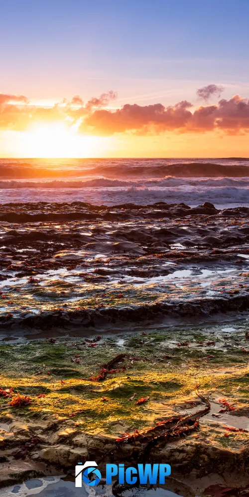 Davenport California 3K Mobile Wallpaper
