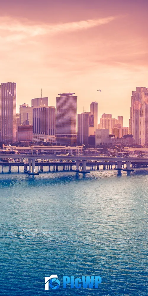 Miami Downtown Florida 3K Mobile Wallpaper