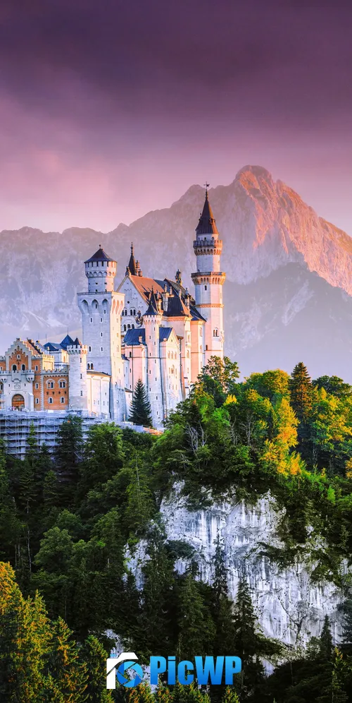 Neuschwanstein Castle Germany 3K Mobile Wallpaper