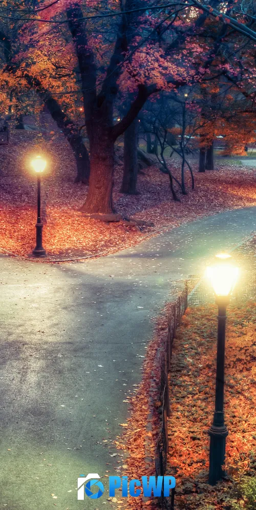 Central Park New York City 3K Mobile Wallpaper