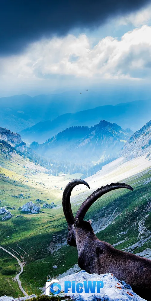 Mount Pilatus Goat 3K Mobile Wallpaper