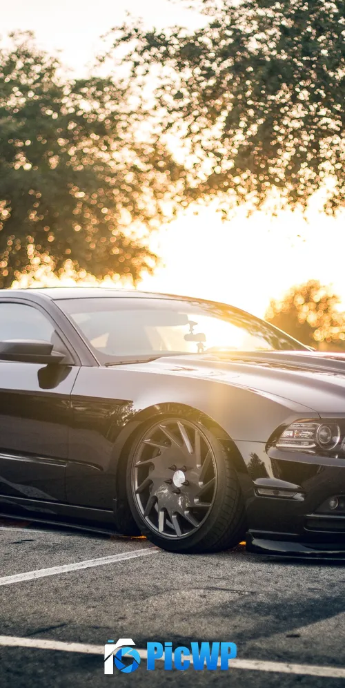 Ford Mustang GT Black cars 3K Mobile Wallpaper