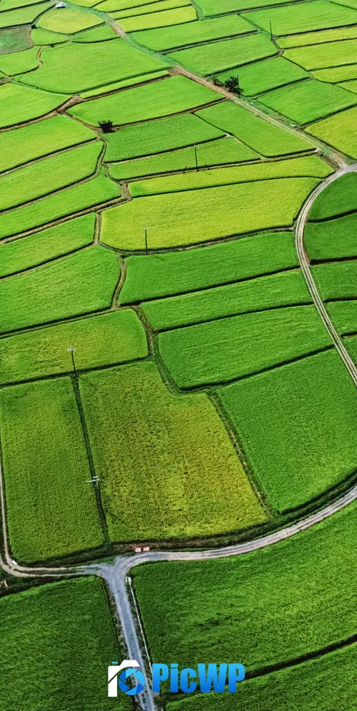 Agriculture Farm Land 3K Mobile Wallpaper