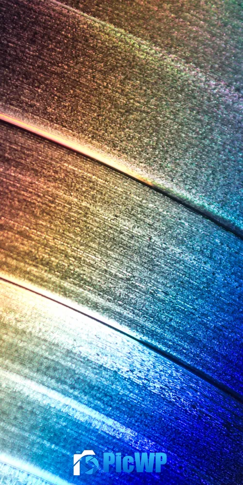 Light on record Closeup 3K Mobile Wallpaper