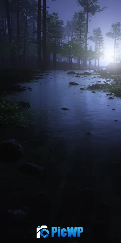 Dark Forest Water Stream 3K Mobile Wallpaper