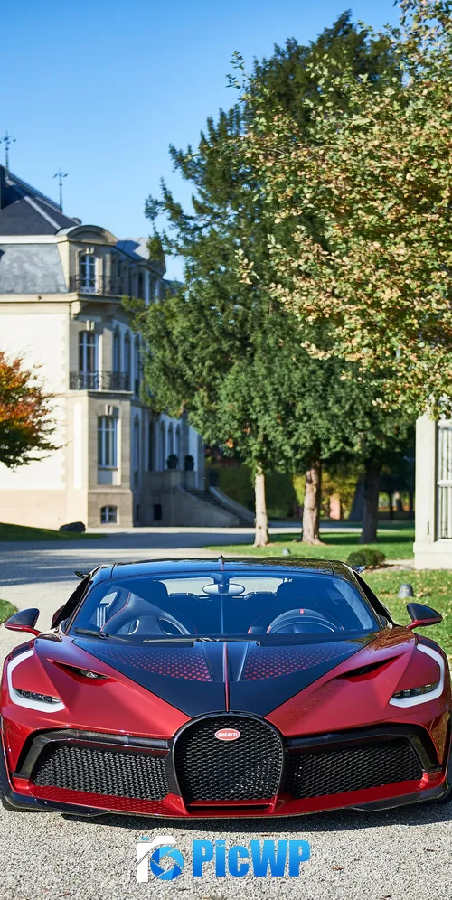 Bugatti Divo Lady Bug 3K Mobile Wallpaper