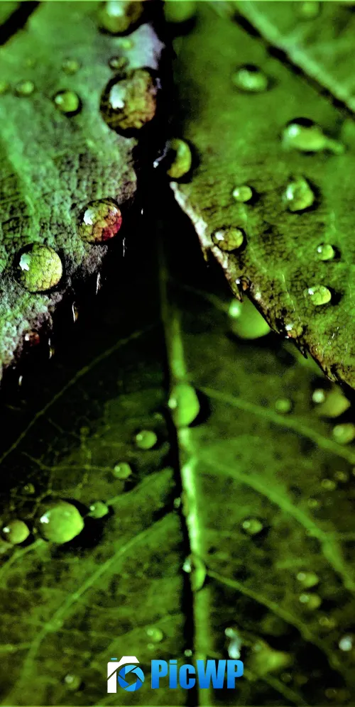 Green leaves Pattern 3K Mobile Wallpaper