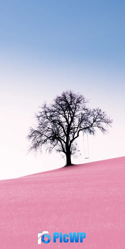Solitude Tree Clear sky 3K Mobile Wallpaper