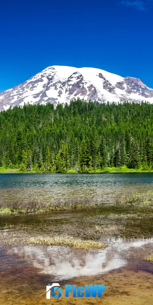 Mount Rainier National Park Washington State 3K Mobile Wallpaper