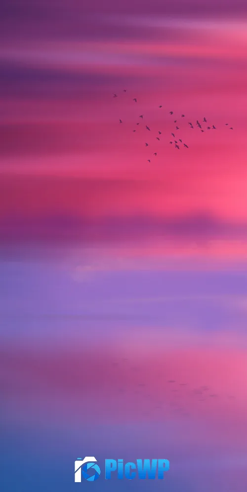 Pink sky Horizon 3K Mobile Wallpaper